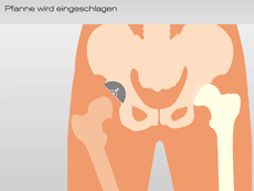 Ansicht vergrößern